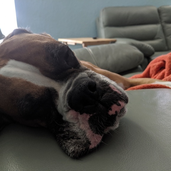 Meet your Posher, Nicole - Picture 4 of 6